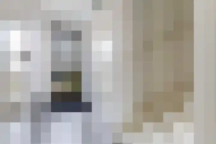 Kervel 7 Hardenberg thumbnail 4