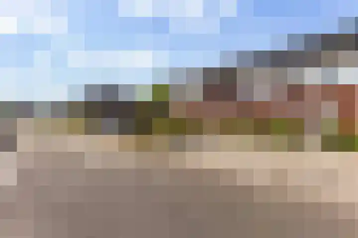 Kervel 7 Hardenberg thumbnail 40