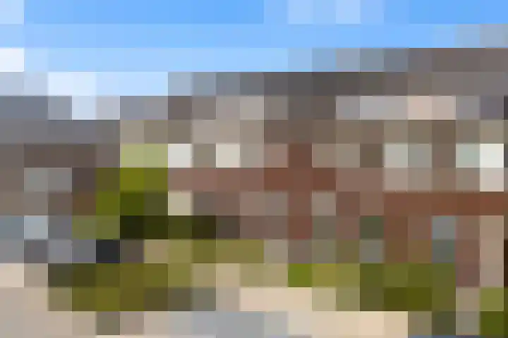 Kervel 7 Hardenberg thumbnail 41