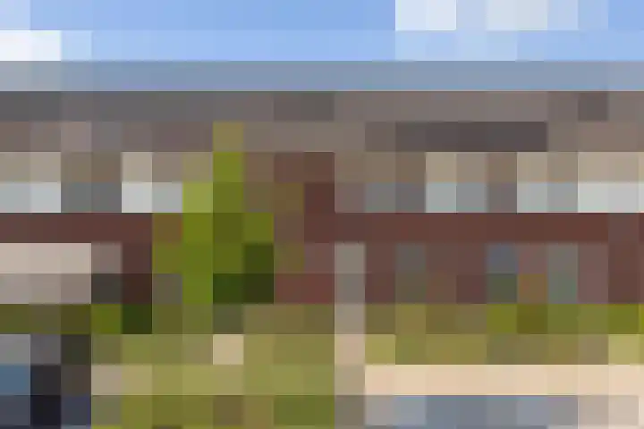 Kervel 7 Hardenberg thumbnail 43