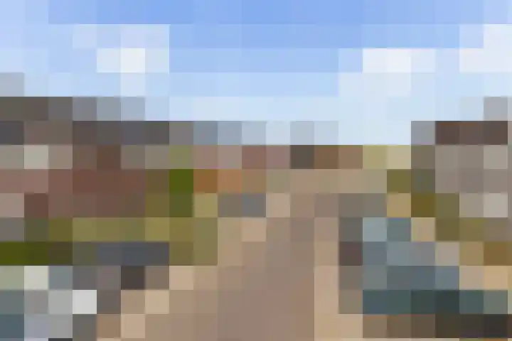 Kervel 7 Hardenberg thumbnail 44