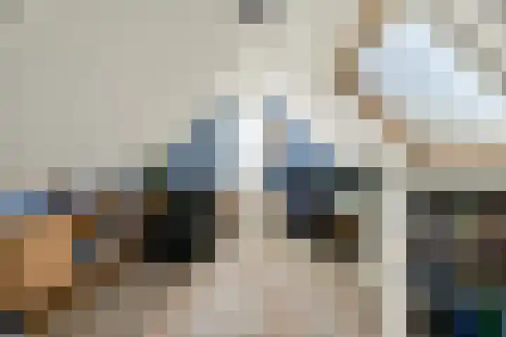 Kervelgaarde 16 Gouda thumbnail 31