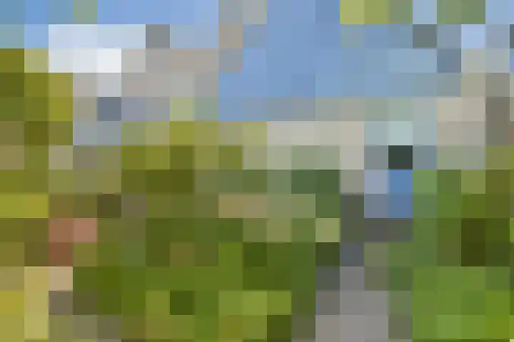 Kervelgaarde 16 Gouda thumbnail 34