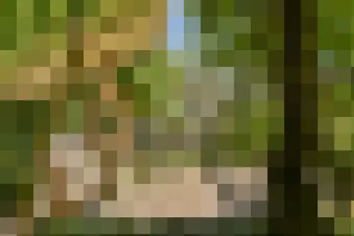 Kervelgaarde 16 Gouda thumbnail 35