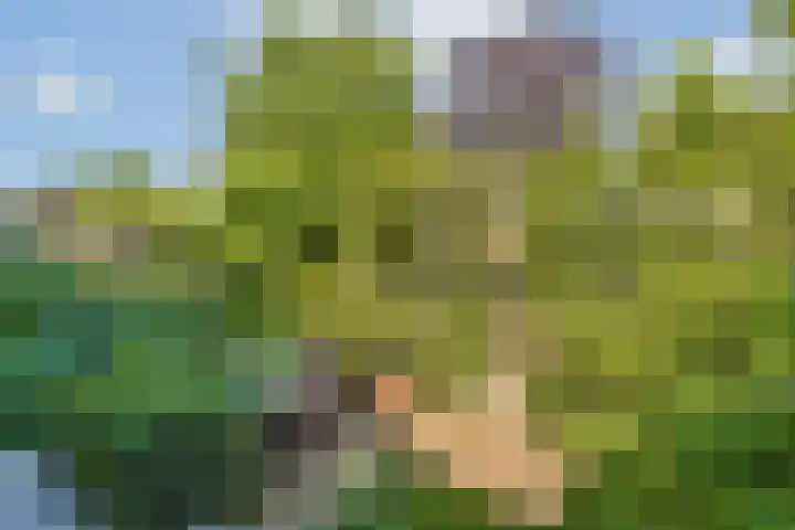 Kervelgaarde 16 Gouda thumbnail 4