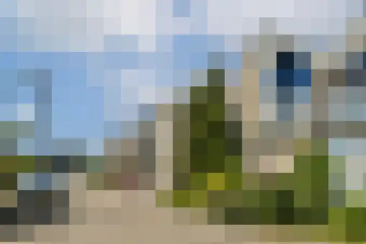 Kervelgaarde 16 Gouda thumbnail 6