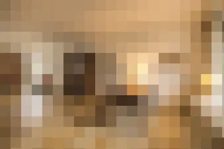 Kervellaan 21 Wierden thumbnail 15