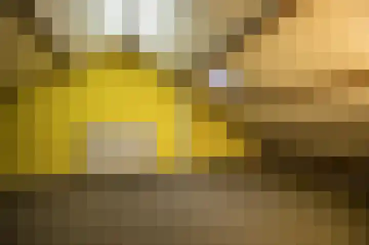 Kervellaan 21 Wierden thumbnail 38