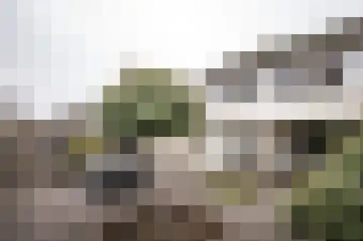 Kervellaan 21 Wierden thumbnail 4