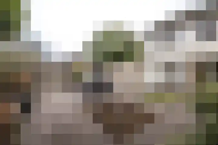 Kervellaan 21 Wierden thumbnail 44