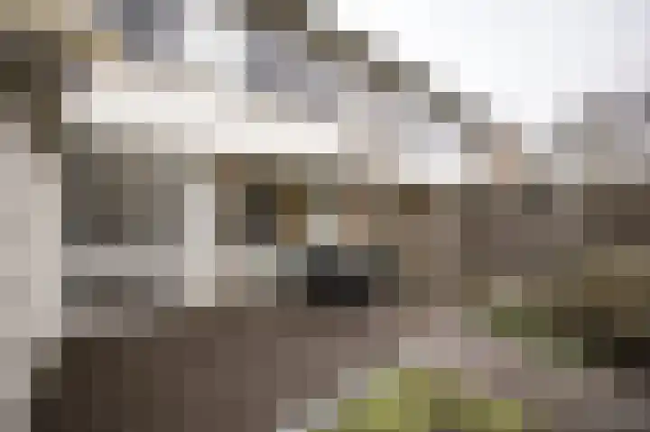 Kervellaan 21 Wierden thumbnail 46