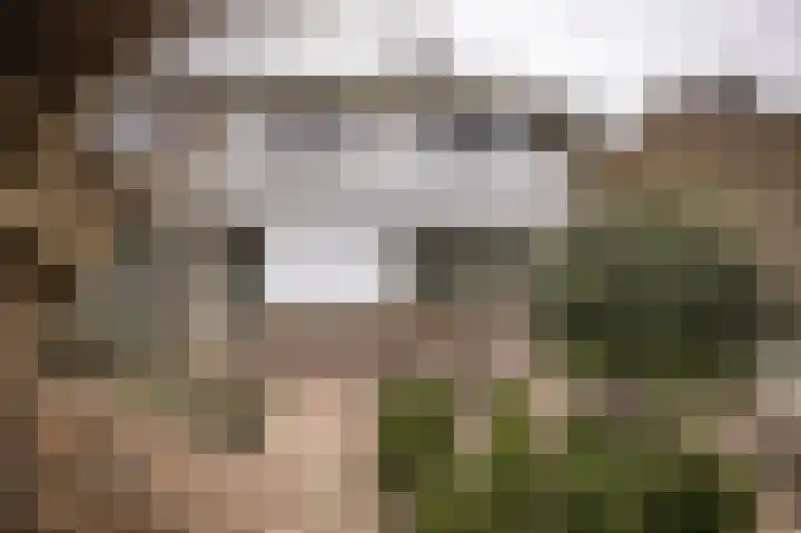 Kervellaan 21 Wierden thumbnail 6