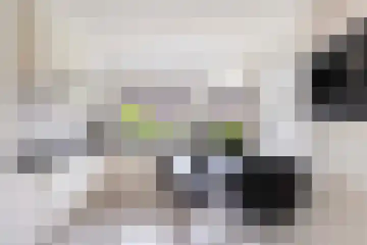 Kervelstraat 24 Voorst thumbnail 18