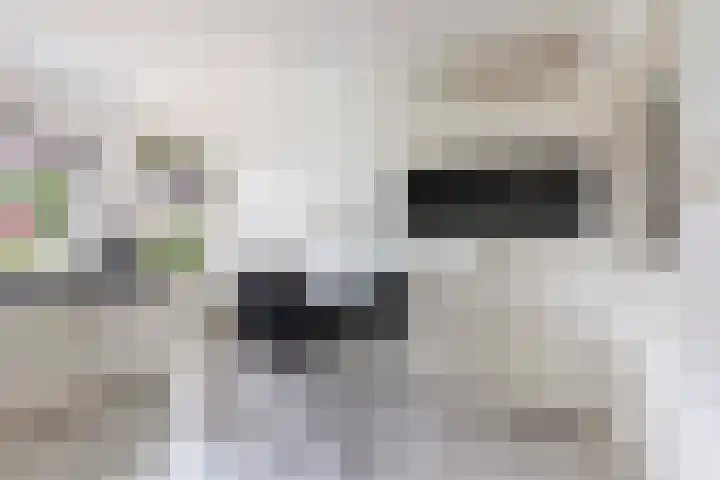 Kervelstraat 24 Voorst thumbnail 20