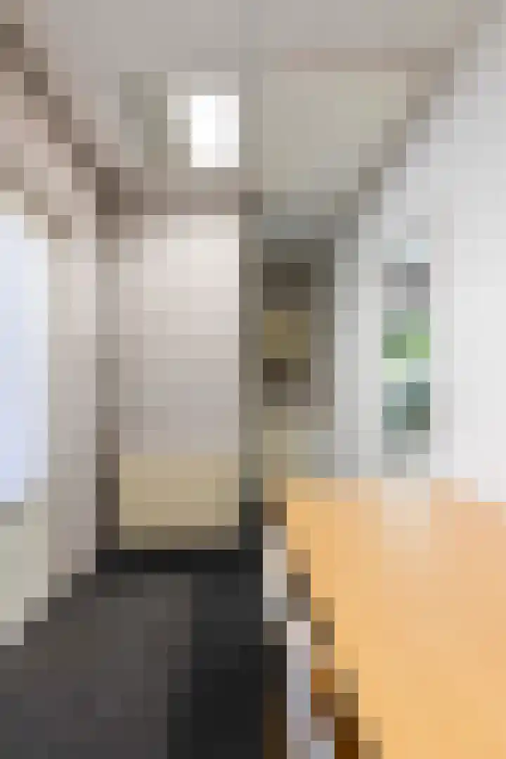 Kervelstraat 24 Voorst thumbnail 31