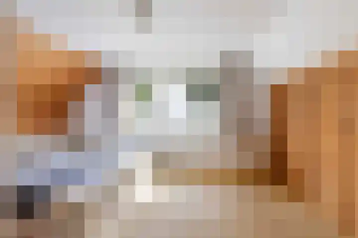 Kervelstraat 24 Voorst thumbnail 36