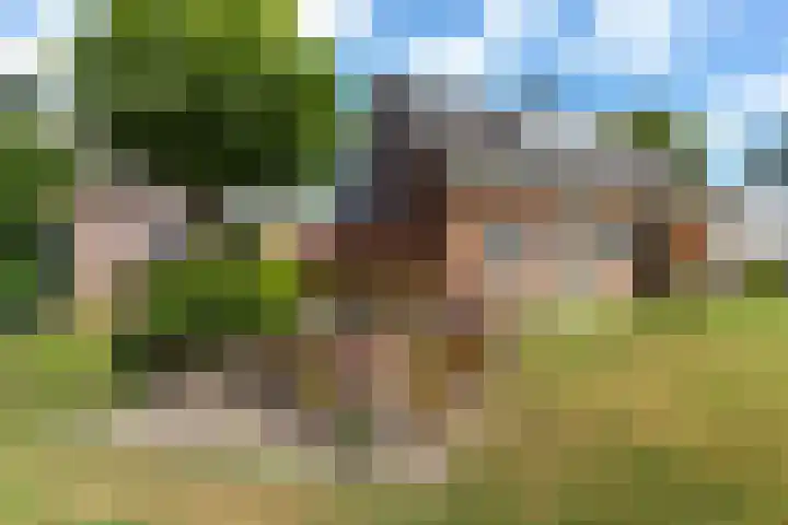 Kervelstraat 24 Voorst thumbnail 4