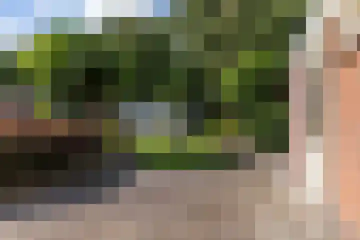 Kervelstraat 24 Voorst thumbnail 46