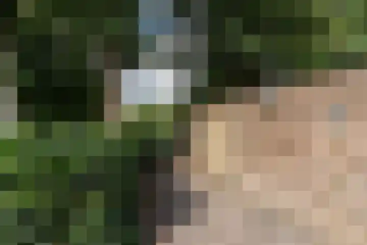 Kervelstraat 24 Voorst thumbnail 47