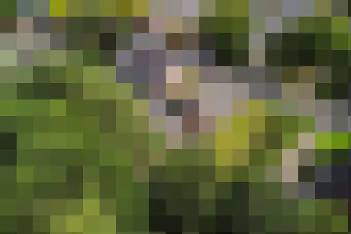 Kervelstraat 24 Voorst thumbnail 6