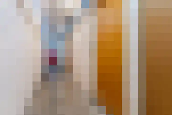 Kervelstraat 76 Krommenie thumbnail 33