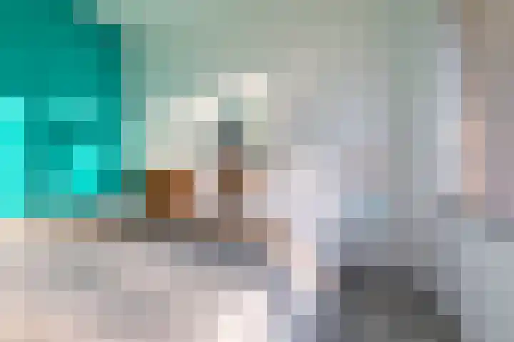 Kervelstraat 77 Krommenie thumbnail 12