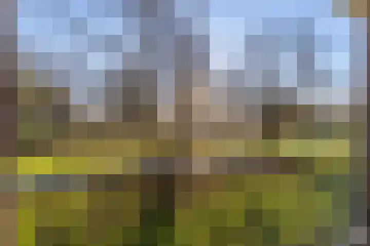 Kervelstraat 77 Krommenie thumbnail 16
