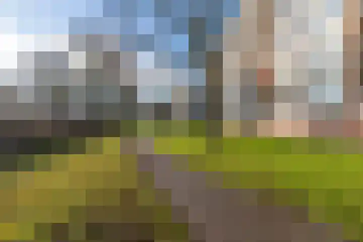 Kervelstraat 77 Krommenie thumbnail 25