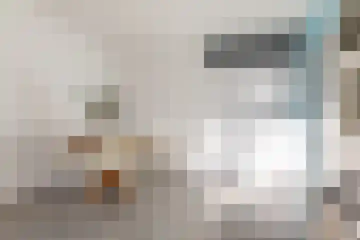 Kervelstraat 77 Krommenie thumbnail 5