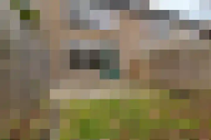 Kerveltuin 46 Leiderdorp thumbnail 34