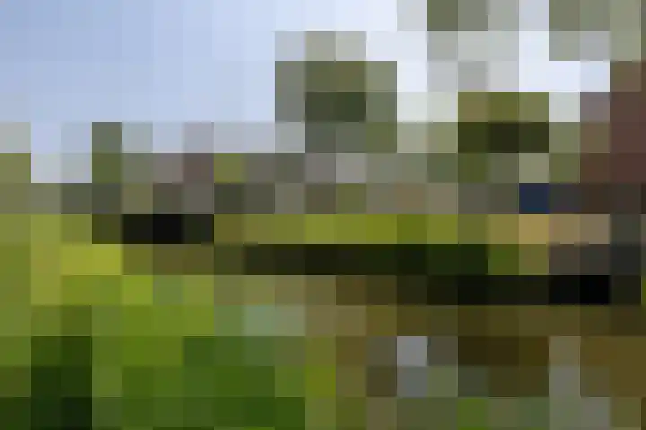 Kervelweg 1 Zwolle thumbnail 37