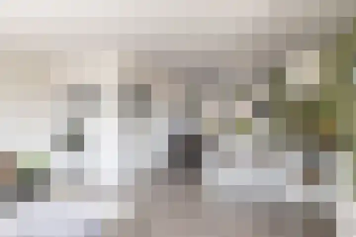 Kervelweg 1 Zwolle thumbnail 7