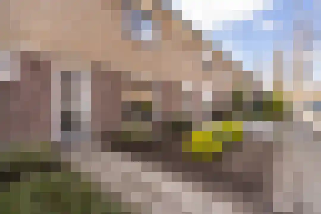 Kesselstraat 40 Weert thumbnail 7