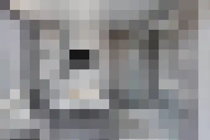 Kesterenlaan 104 Breda thumbnail 17