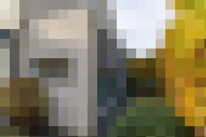 Ketelbuter 1 Nuth thumbnail 30