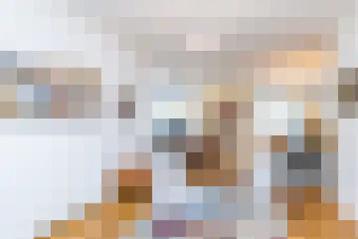 Ketelbuter 1 Nuth thumbnail 8