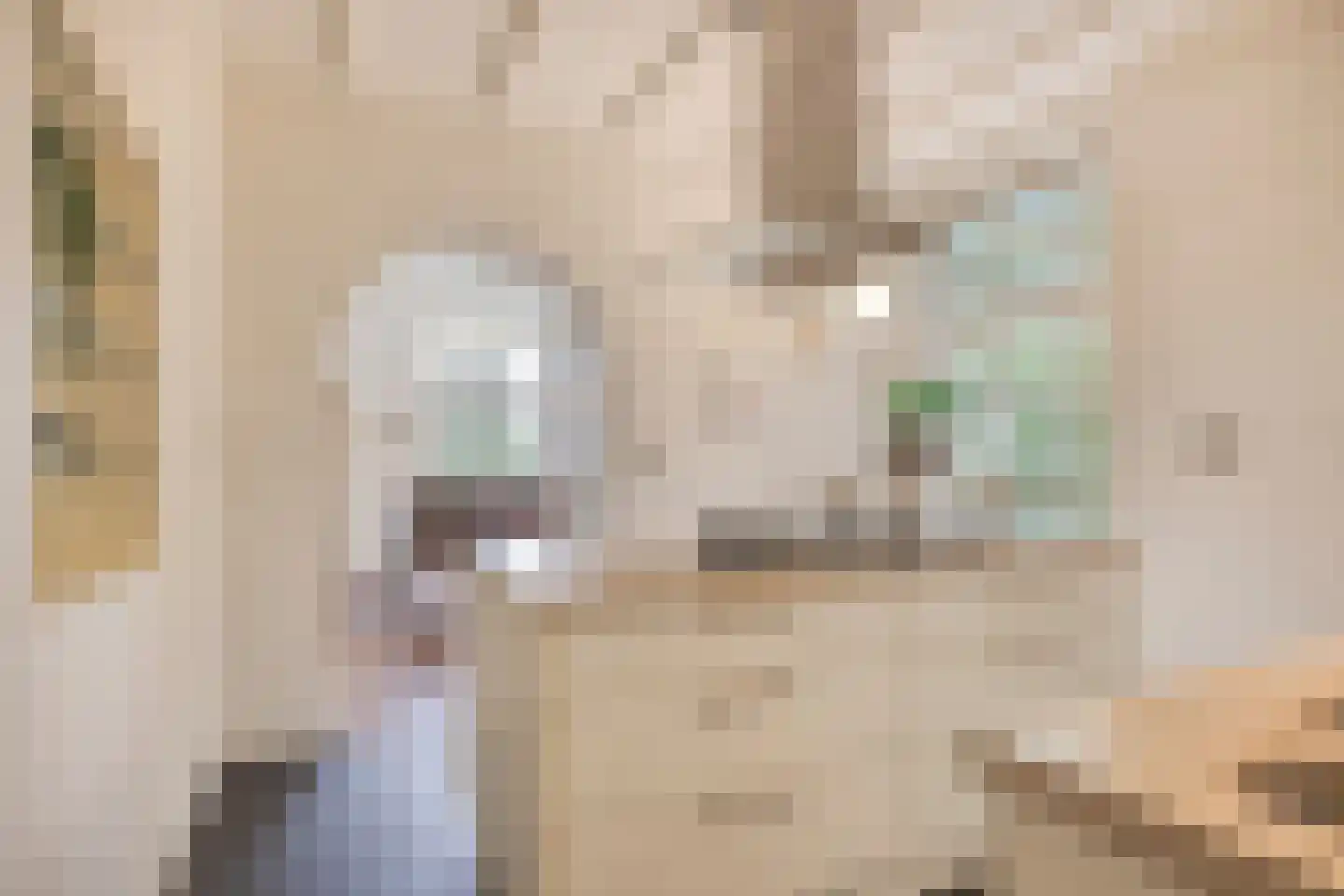 Keteldal 4 Beek thumbnail 12