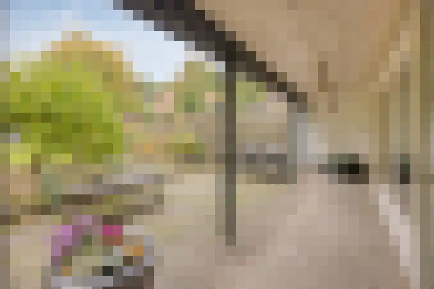Keteldal 4 Beek thumbnail 24
