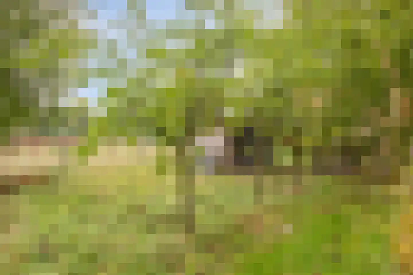 Keteldal 4 Beek thumbnail 45