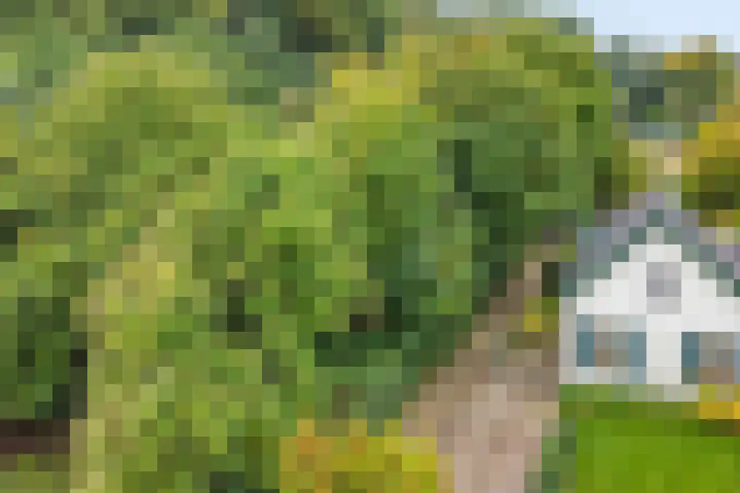 Keteldal 4 Beek thumbnail 49