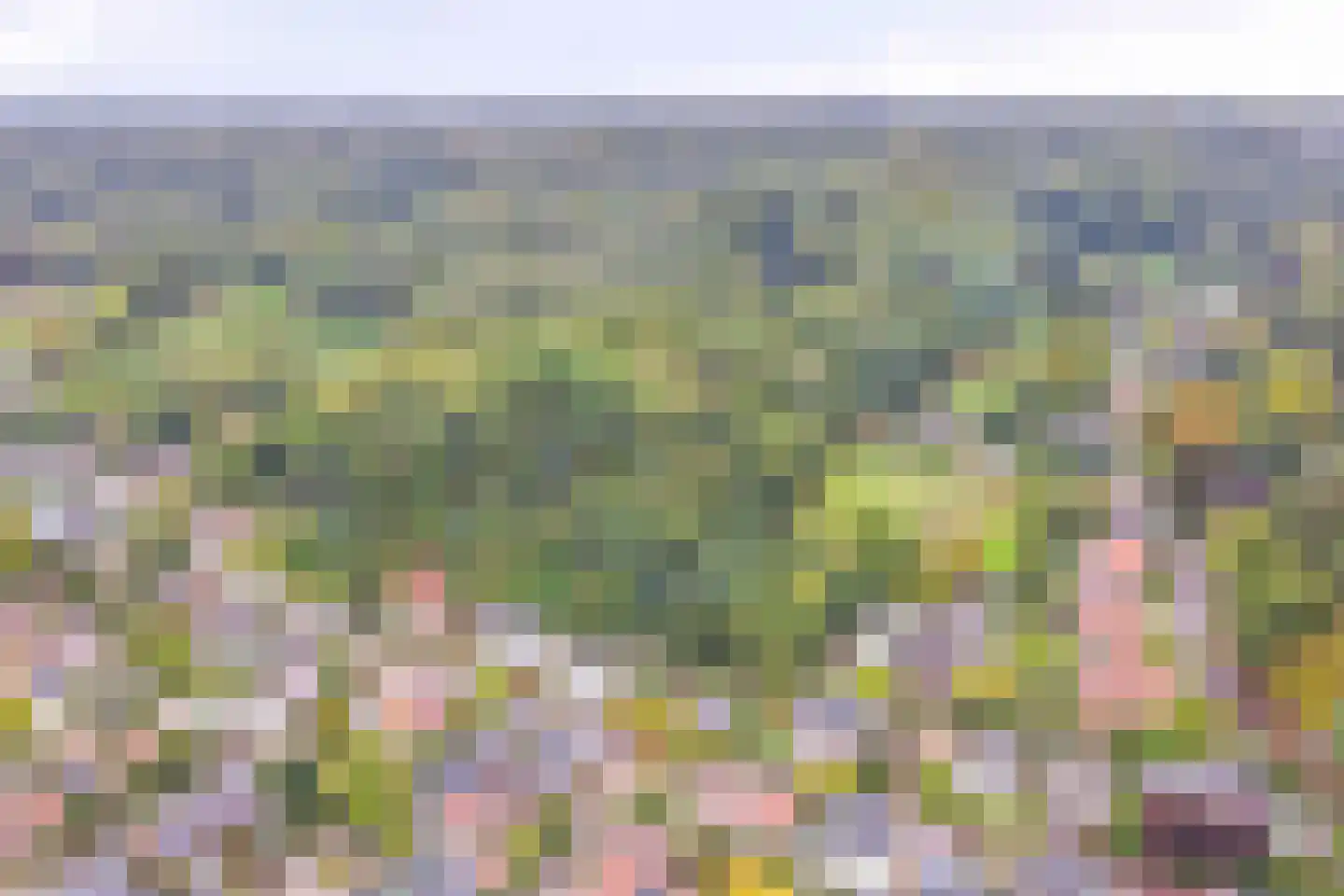 Keteldal 4 Beek thumbnail 50