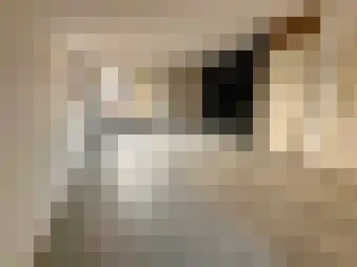Keteldiep 16 Zeewolde thumbnail 8