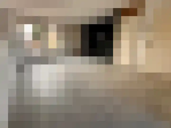 Keteldiep 16 Zeewolde thumbnail 9