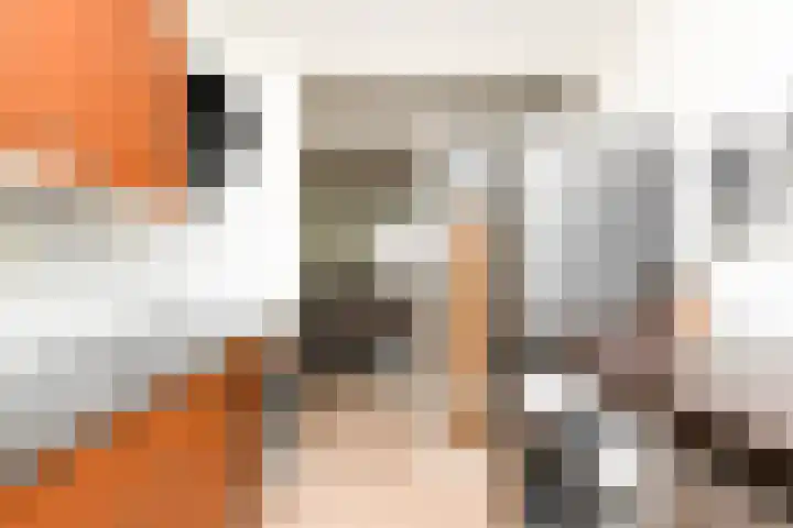 Keteldiep 27 Zeewolde thumbnail 8