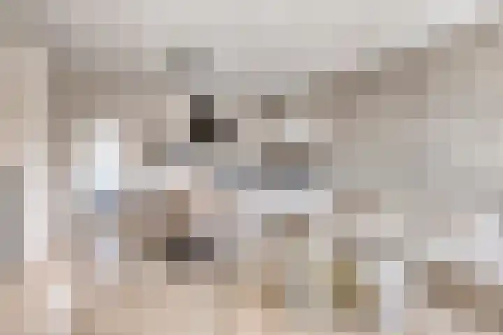 Ketelkade 43 Goes thumbnail 5
