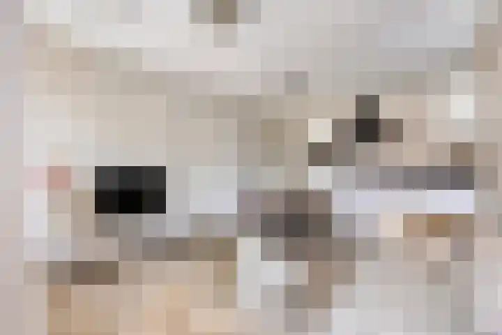 Ketelkade 43 Goes thumbnail 7