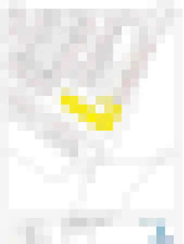 Ketelkade 47 Goes thumbnail 22