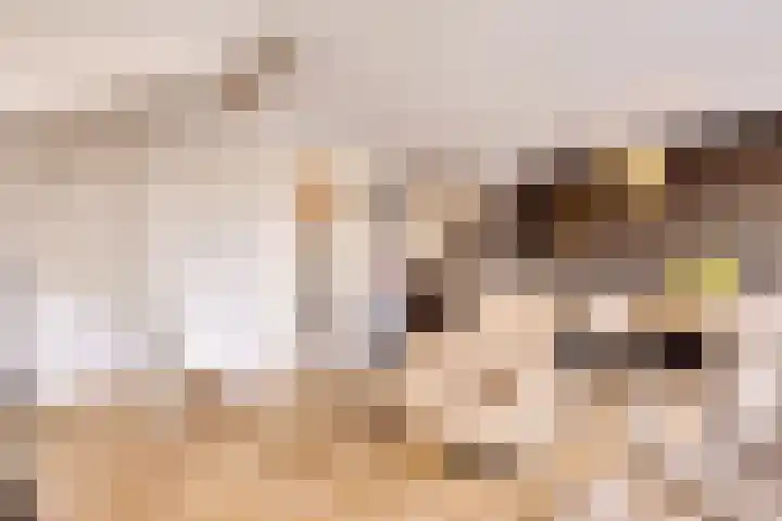 Ketelkade 60 Goes thumbnail 10