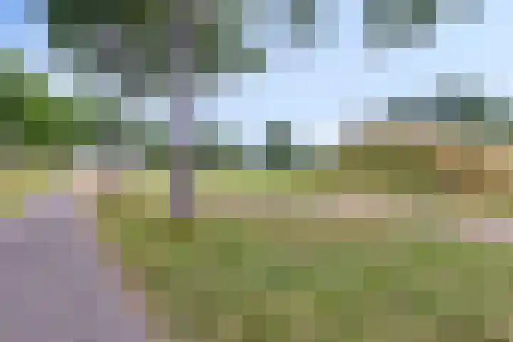 Ketelkade 60 Goes thumbnail 34
