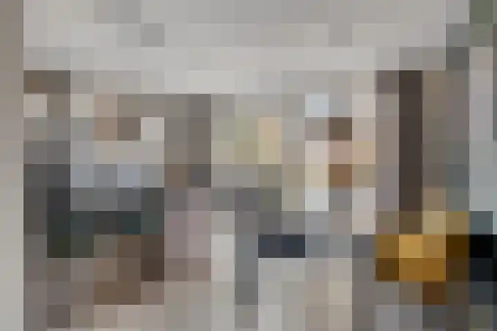 Ketelven 26 Veghel thumbnail 13